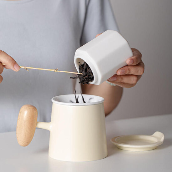 Morandi Color Ceramic Filter Mug with Tea Infuser for Office and Couples